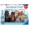 Image de Puzzles 2 x 24 piÃ¨ces : L'amour des chevaux