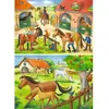 Image de Puzzles 2x12 pièces : Vacances au centre équestre Ravensburger-5178