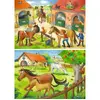 Image de Puzzles 2x12 piÃ¨ces : Vacances au centre Ã©questre