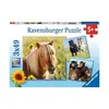 Image de Puzzle 3 x 49 piÃ¨ces : adorables poneys