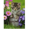Image de Puzzle 100 pièces XXL : Chaton dans fleurs Ravensburger-10847