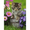 Image de Puzzle 100 piÃ¨ces XXL : Chaton dans fleurs