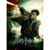 Image de Puzzle 100 piÃ¨ces XXL : Le monde fantastique d'Harry Potter