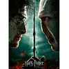 Image de Puzzle 200 pièces XXL - Harry Potter vs Voldemort Ravensburger-128709