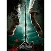 Image de Puzzle 200 piÃ¨ces XXL - Harry Potter vs Voldemort