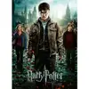 Image de Puzzle 300 pièces XXL : Harry Potter et les Reliques de la Mort II Ravensburger-12871