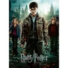 Image de Puzzle 300 piÃ¨ces XXL : Harry Potter et les Reliques de la Mort II