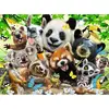 Image de Puzzle 300 pièces XXL : Le selfie des animaux sauvages Ravensburger-12893