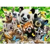 Image de Puzzle 300 piÃ¨ces XXL : Le selfie des animaux sauvages