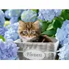 Image de Puzzle 300 pièces XXL : Petit chaton Ravensburger-12894