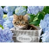 Image de Puzzle 300 piÃ¨ces XXL : Petit chaton