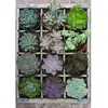 Image de Puzzle Moment 300 pièces : Green Ravensburger-12967