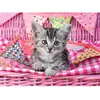Image de Puzzle 100 pièces XXL : Joli chaton Ravensburger-12985