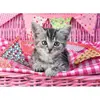 Image de Puzzle 100 piÃ¨ces XXL : Joli chaton