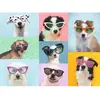 Image de Puzzle 150 pièces XXL : Chiens rigolos Ravensburger-13288