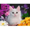 Image de Puzzle 100 pièces XXL :  Chat à paillettes (Collection Paillettes) Ravensburger-13358