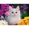 Image de Puzzle 100 piÃ¨ces XXL :  Chat Ã  paillettes (Collection Paillettes)