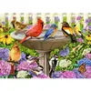 Image de Puzzle 500 pièces XL : Le bain d'oiseaux Ravensburger-00016793