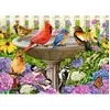 Image de Puzzle 500 pièces XL : Le bain d'oiseaux