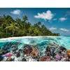 Image de Puzzle 2000 pièces : Une plongée aux Maldives Ravensburger-17441