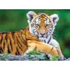 Image de Puzzle 150 piÃ¨ces :  BÃ©bÃ© Tigre