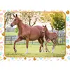 Image de Puzzle 60 pièces : Maman et bébé cheval Nathan-86167