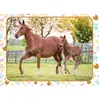 Image de Puzzle 60 piÃ¨ces : Maman et bÃ©bÃ© cheval