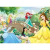 Image de Puzzle 60 pièces : Après-midi entre Princesses Disney Nathan-865673