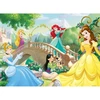 Image de Puzzle 60 piÃ¨ces : AprÃ¨s-midi entre Princesses Disney