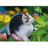 Image de Puzzle 250 piÃ¨ces : Petit chaton curieux