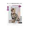 Image de Puzzle 500 pièces : Tendresse - Chaton Bengal Nathan-Ravensburger-87123