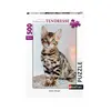 Image de Puzzle 500 piÃ¨ces : Tendresse - Chaton Bengal