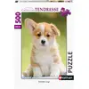 Image de Puzzle 500 pièces : Adorable corgi Nathan-Ravensburger-87135