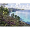 Image de Puzzle 2000 piÃ¨ces : Plage de Crozon