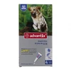 Image de Advantix Antiparasitaire Grands Chiens de 25kg à 40kg