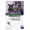 Image de Advantage 80 pour chat et lapin 4 pipettes de 0.8ml