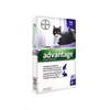 Image de Advantage solution antipuce pour chat et lapin de 4kg et plus 6 pipettes
