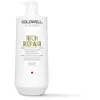 Image de Après-shampoing restructurant Dual Senses Rich Repair Goldwell 1000ml