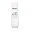 Image de Shampoing antipelliculaire Dual Senses Scalp Specialist Anti Dandruff Goldwell 250ml