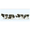 Image de Modélisme HO : Figurines : Set de 6 vaches noires et blanches Preiser-PR10145