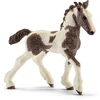 Image de Figurine cheval : Poulain Tinker Schleich-13774