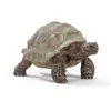 Image de Tortue géante Schleich-14824