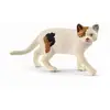 Image de Figurine : Chat Américain shorthair Schleich-13894