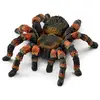 Image de Figurine araignée : Mygale Schleich-14829