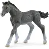 Image de Figurine Poulain Trakehnen Schleich-13944