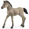 Image de Figurine Poulain Criollo Definitivo Schleich-13949
