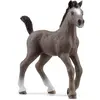 Image de Figurine Horse Club : Poulain Selle Français Schleich-13957
