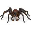 Image de Figurine Harry Potter™: Aragog Schleich-13987