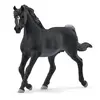 Image de Figurine Horse Club : Étalon Arabe Schleich-13981