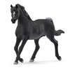 Image de Figurine Gracieuse De L'etalon Arabe